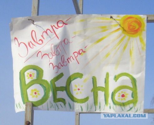 Лёха, вставай!