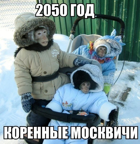 Народы, которые могут исчезнуть с лица России
