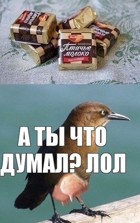 Картинки с надписями
