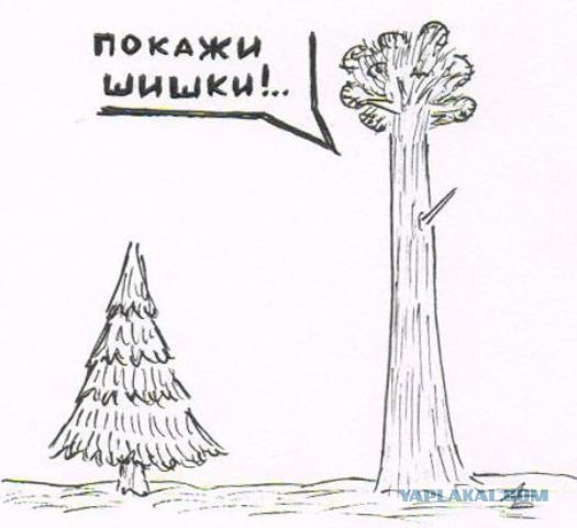 Абсурдная субботница