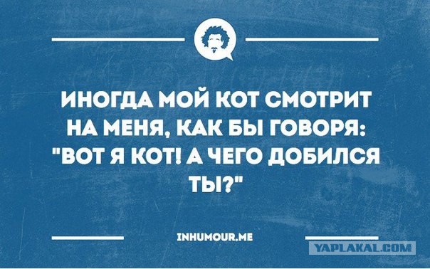 Подборка картинок