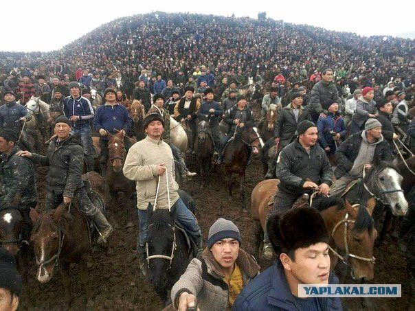 Подборка интересных и смешных картинок