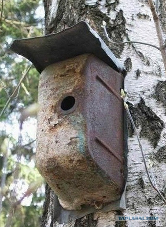 Подборка прикольных фото