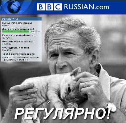 Фотожаба: Джорж Буш кошкоед