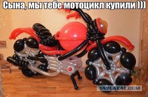 Порция картинок из сети