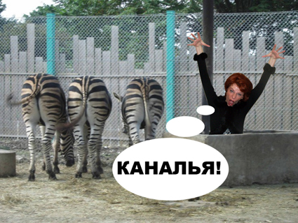 Фотожаба: Невидимый зверь
