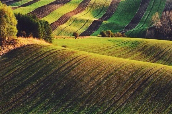 Картинки для отдыха глаз