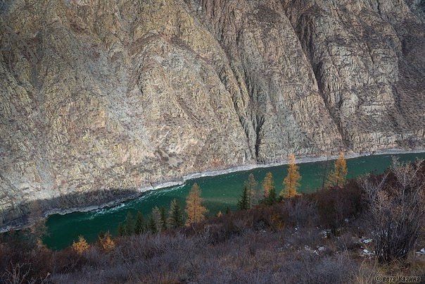 Моменты, запечатлённые на фото и просто позитив 5