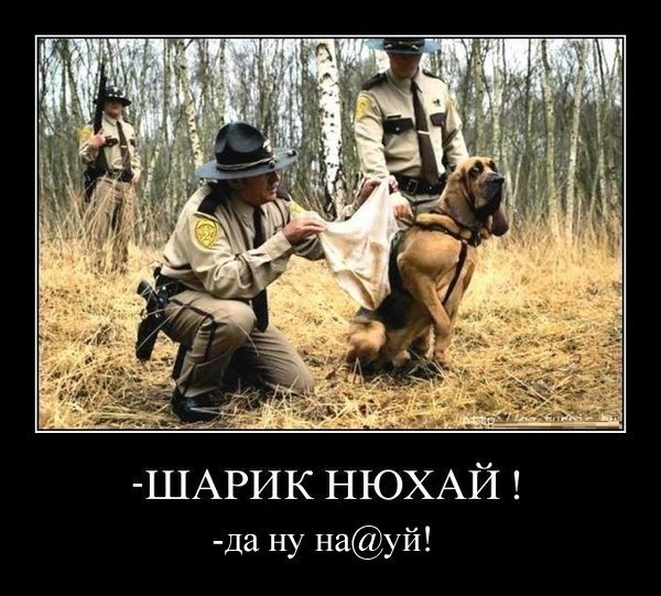 Прикольные картинки из соцсетей