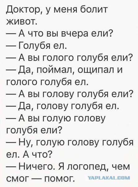 Веселые картинки! Деградиреум,  или просто веселимся?