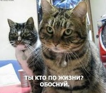 Кто уважает воров в законе?