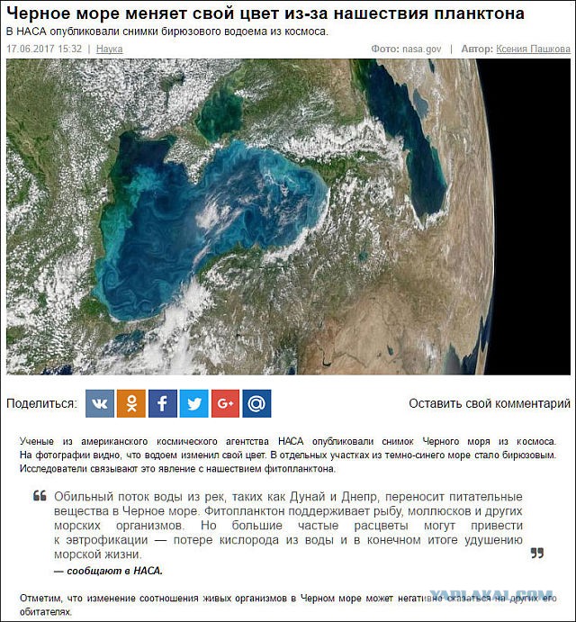 Очередная порция перлов из сети