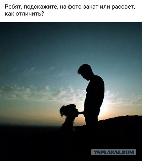 Забавные комментарии, шутки и фразы из этих ваших интернетов
