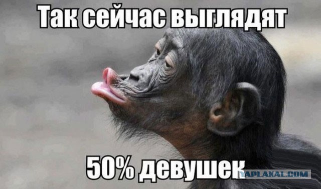 Подборка интересных и веселых картинок