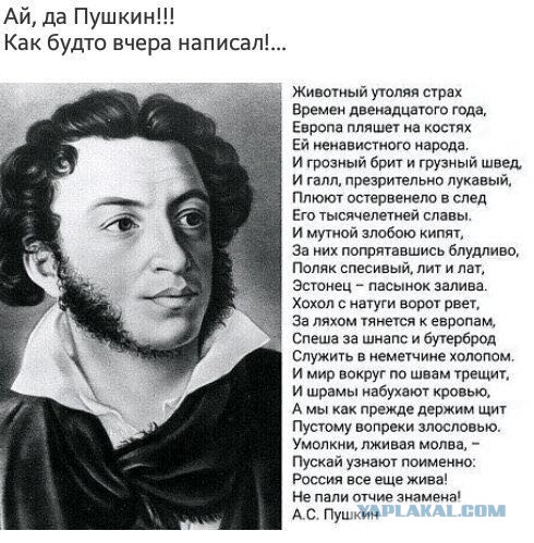 Обстоятельства дуэли и смерти А.С. Пушкина