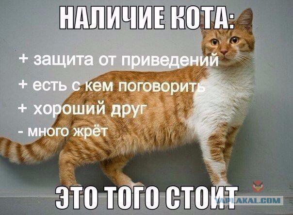 Я вам покушать не принес: что может произойти на кухне