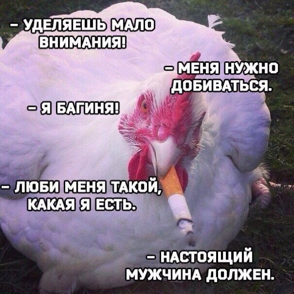 Я вовсе не меркантильная...