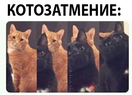 Прикольные картинки обо всём