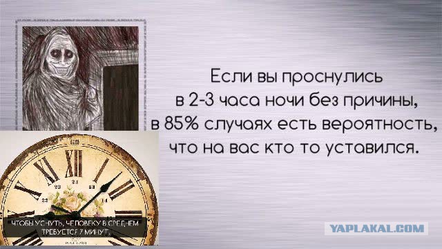 Подборка бесполезных фактов