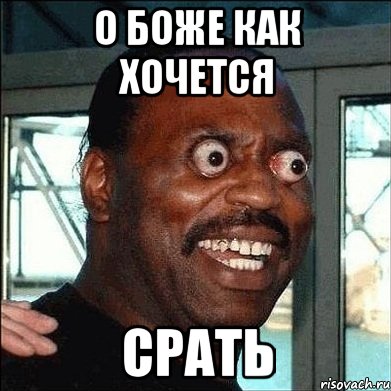 Друзья! я сочинил новую песню! (Пашкет)