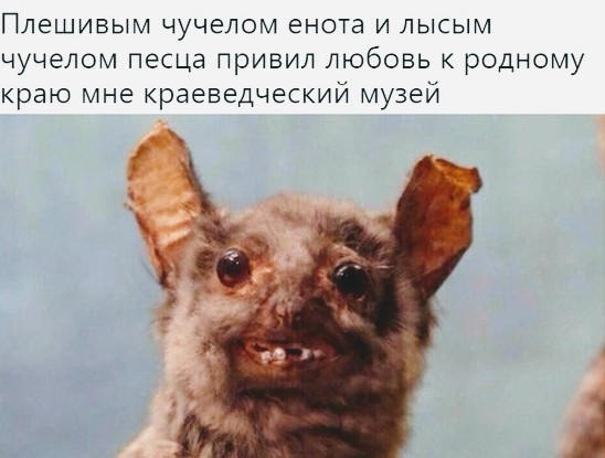 31 первый километр
