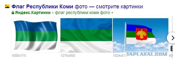 Жители Сыктывкара требуют вычистить мусор из власти