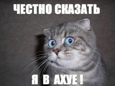 Петербург. Девушку сбили на пешеходном переходе