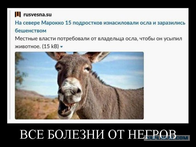 Глоток чёрного воздуха