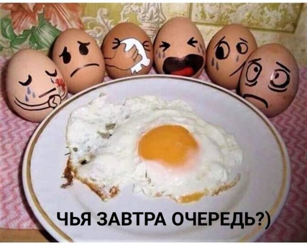 Минтай, форель и осетрина