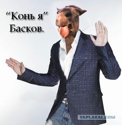 Фотожаба: Николя Басков