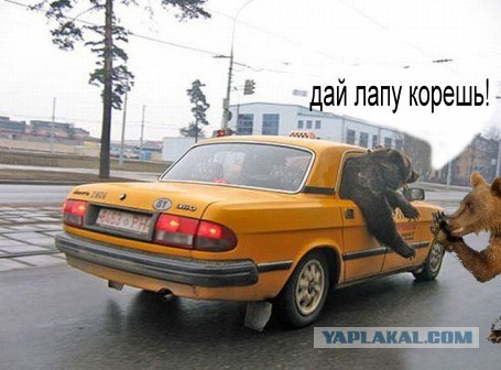 Маша-а-а!Аууууу!