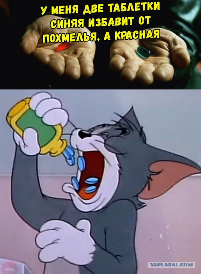 Бредзона 03.11.2020