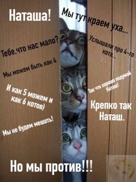 Наташа, вставай!