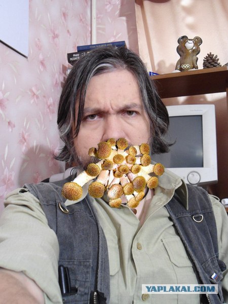 Фотожаба: Да грибам!