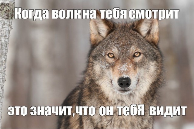 От светло серого до чёрного!