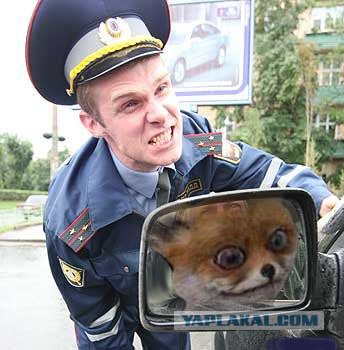 Таксидермия + наркомания