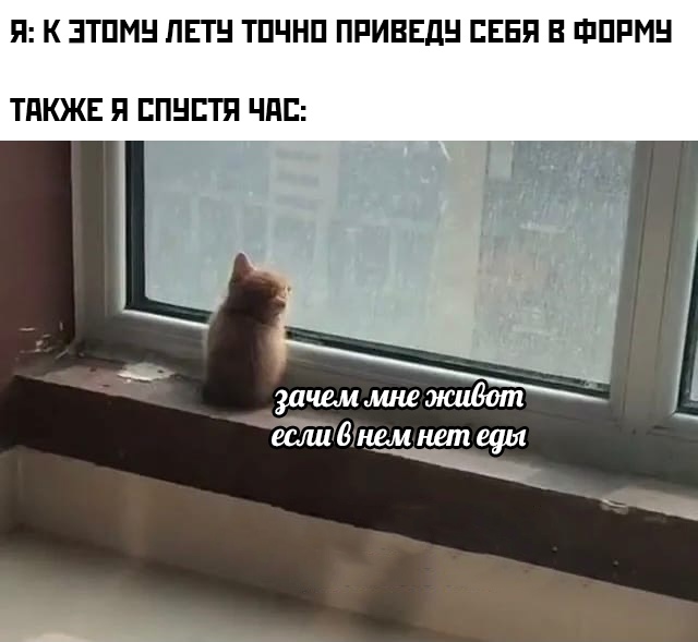 Весёлый полтишок 14.02