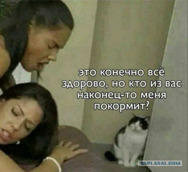 Все любят секс