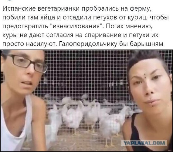 Кощунство и надругательство. Это уже перешло все границы!