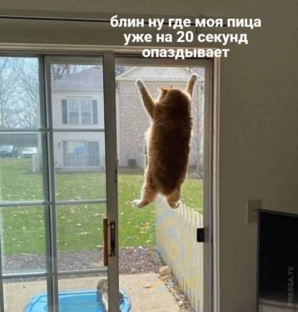 Картинки и мемы для настроения 024