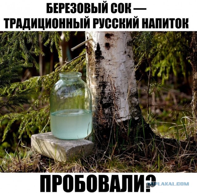 Картинки и мемы для настроения 09.08.2021