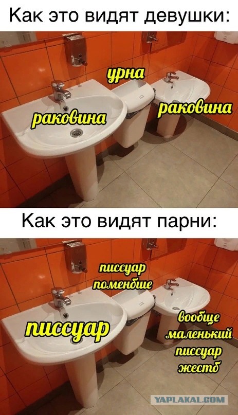 Весёлый полтишок 31.08