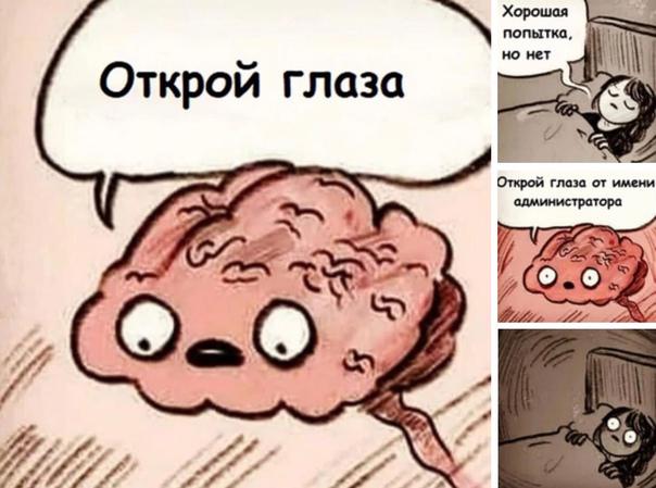 Весёлый полтишок 21.09