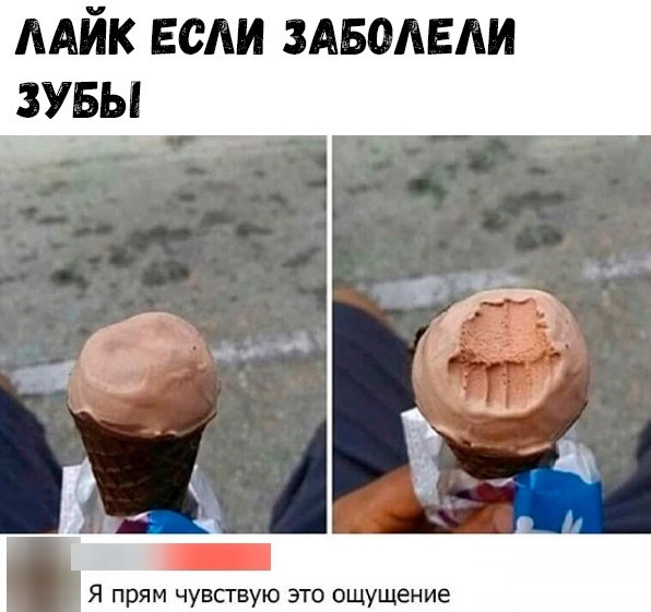 Весёлый полтишок 24.12
