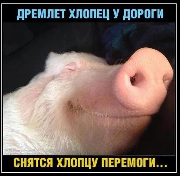 В Италии арестована яхта "А" попавшего под санкции российского предпринимателя Андрея Мельниченко