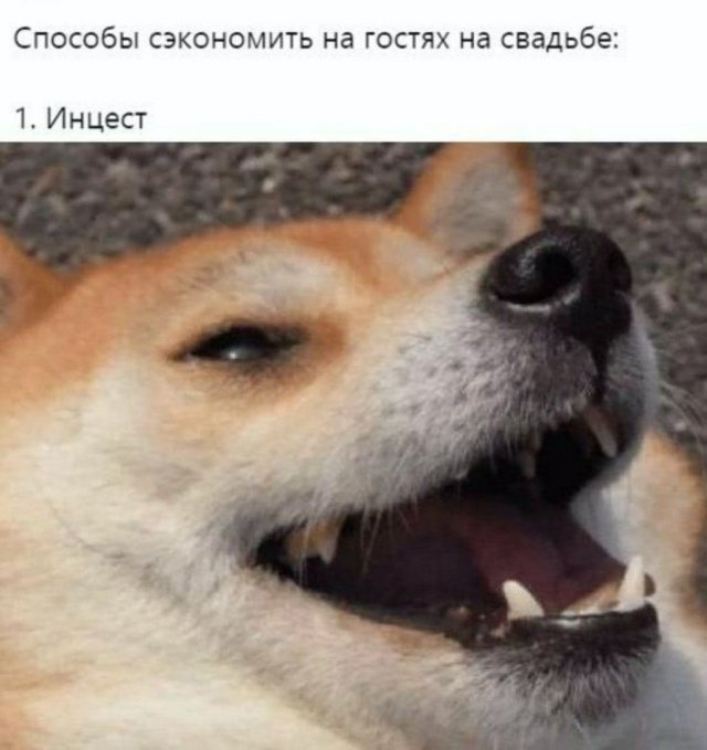 Немного черноты и подобного юмора