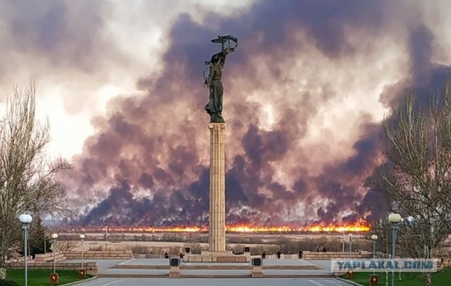 Пандемия. Коронавирус и съехавшие крыши. Россия и мир. Часть 34.