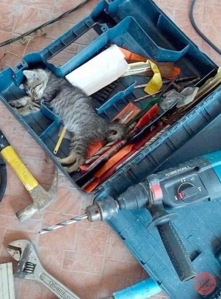 3 этапа жизни