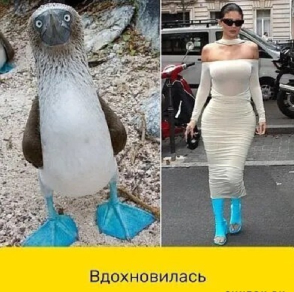 Картинки и мемы, всем хороших выходных