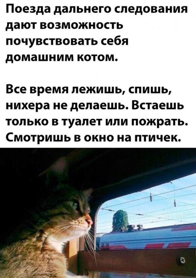 Картинки и мемы, всем хороших выходных